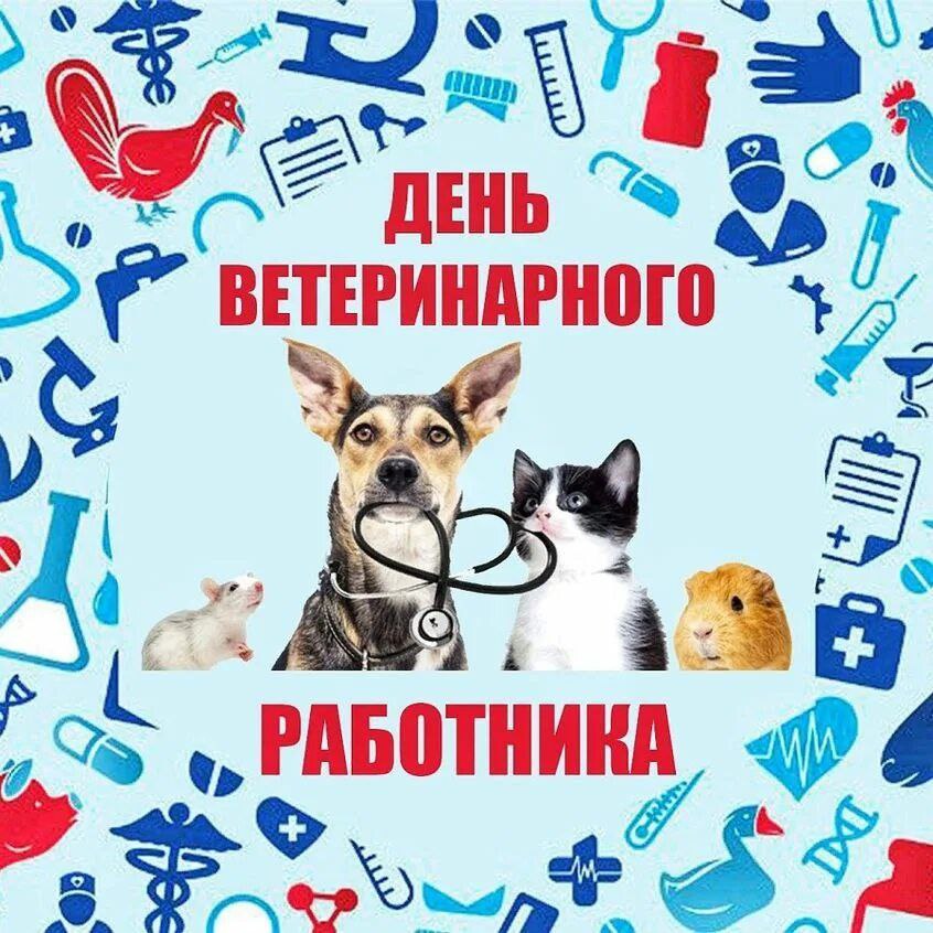 Поздравление с Днем ветеринарного работника.