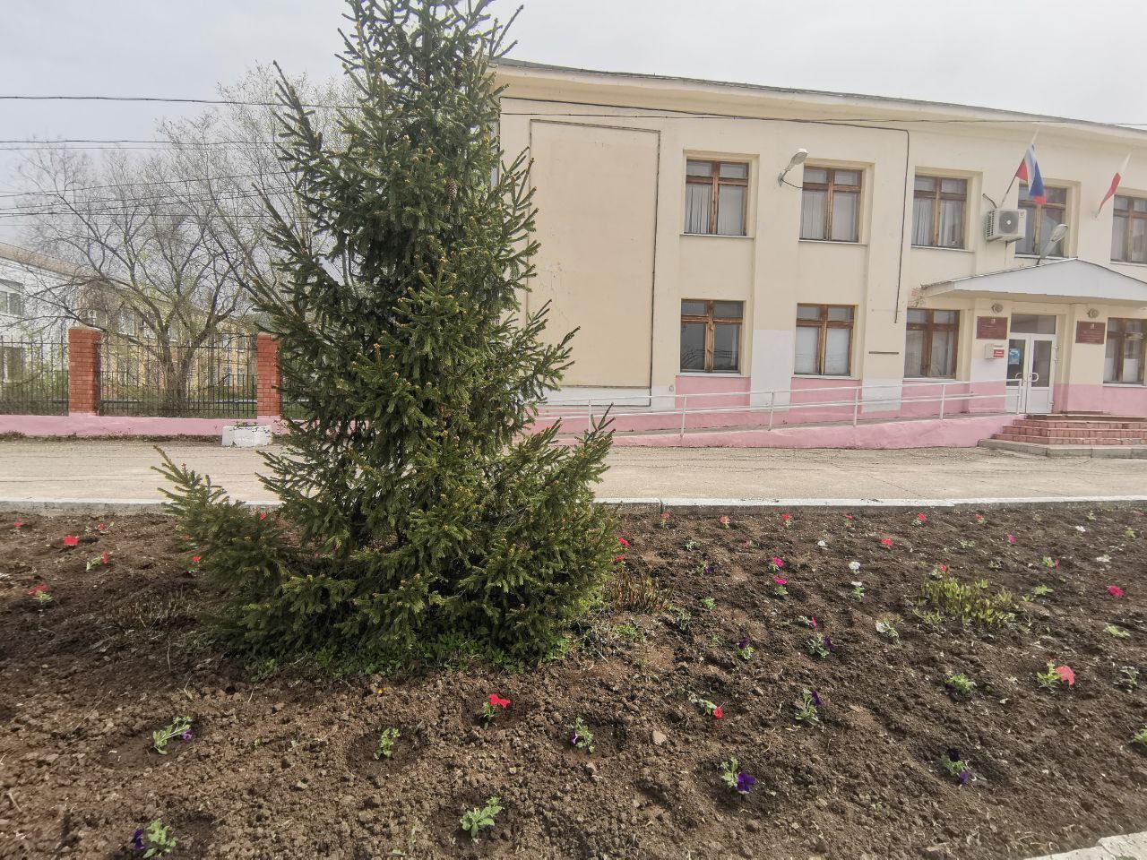 На Центральной площади поселка Горный высадили петунии.