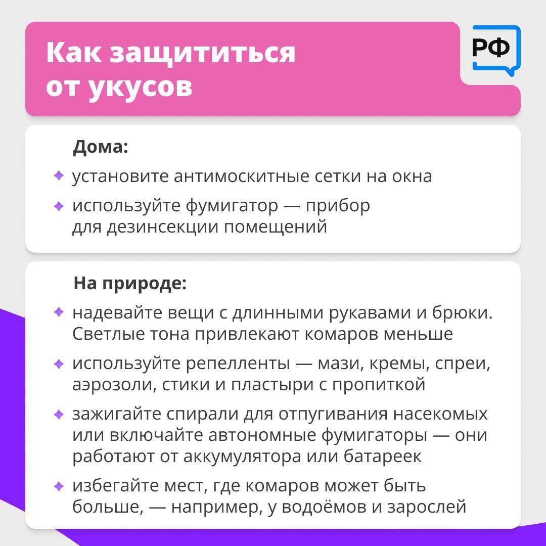 Всё, что нужно знать об укусах комаров.