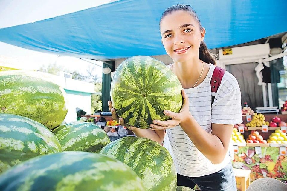 Как выбрать бахчевую культуру.