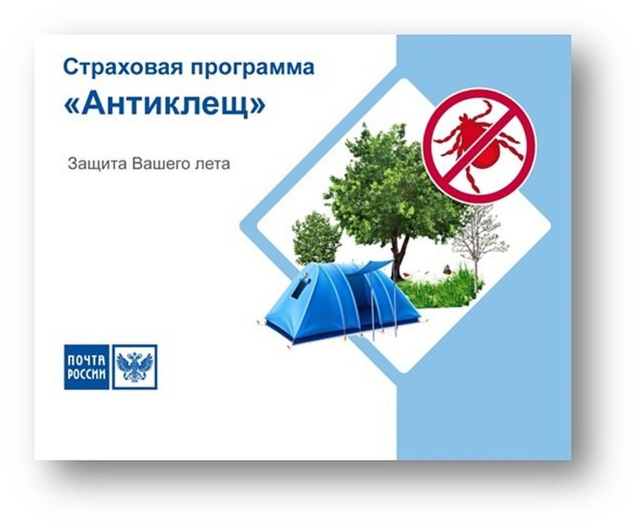 С начала весны саратовцы оформили на почте около 300 страховых полисов от укусов клещей.
