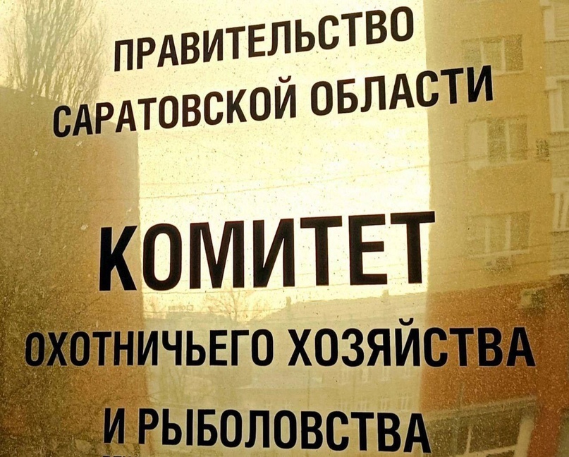 Уведомление о проведении общественных обсуждений объекта государственной экологической экспертизы - проекта постановления Губернатора Саратовской области «Об утверждении лимитов и квот добычи охотничьих ресурсов на территории Саратовской области.