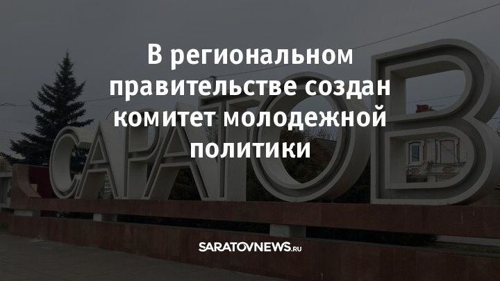 В Правительстве Саратовской области создан комитет молодежной политики.