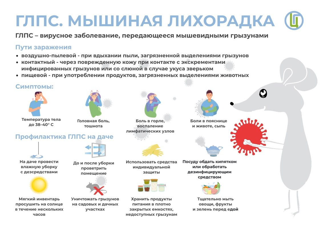 Жителям Краснопартизанского района напоминают о мерах профилактики ГЛПС.