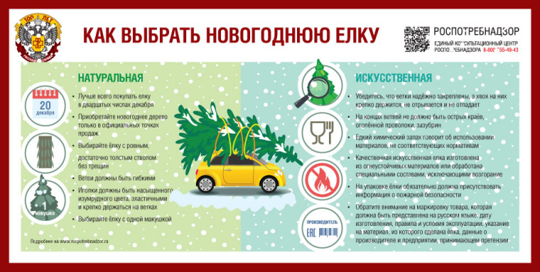 Роспотребнадзор рекомендует: как выбрать новогоднюю елку. Роспотребнадзор рекомендует: как выбрать новогоднюю елку.