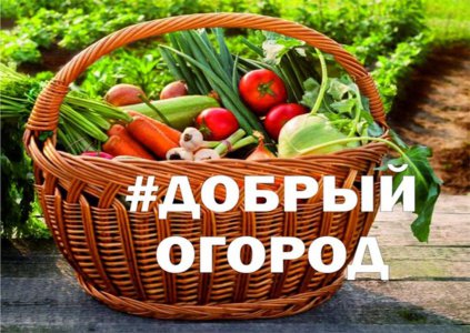 #ДОБРЫЙ ОГОРОД-2023: сезон открыт. #ДОБРЫЙ ОГОРОД-2023: сезон открыт.