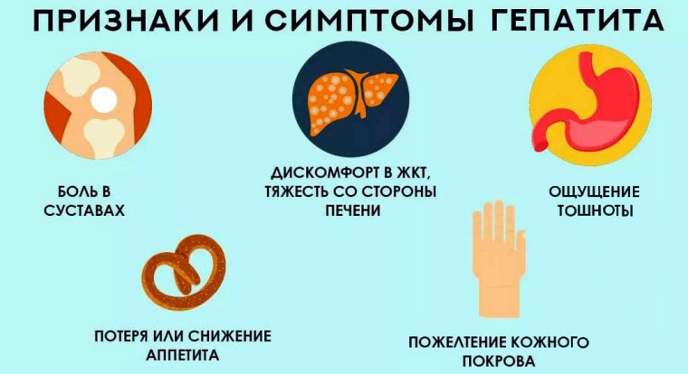 Профилактика гепатита С. Профилактика гепатита С.